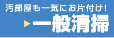 一般清掃